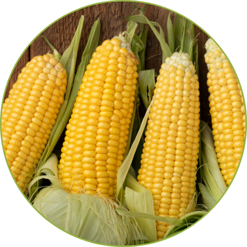 Corn Products