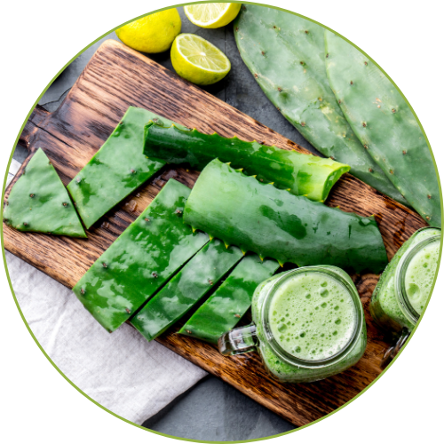 Nopal & Natural Products