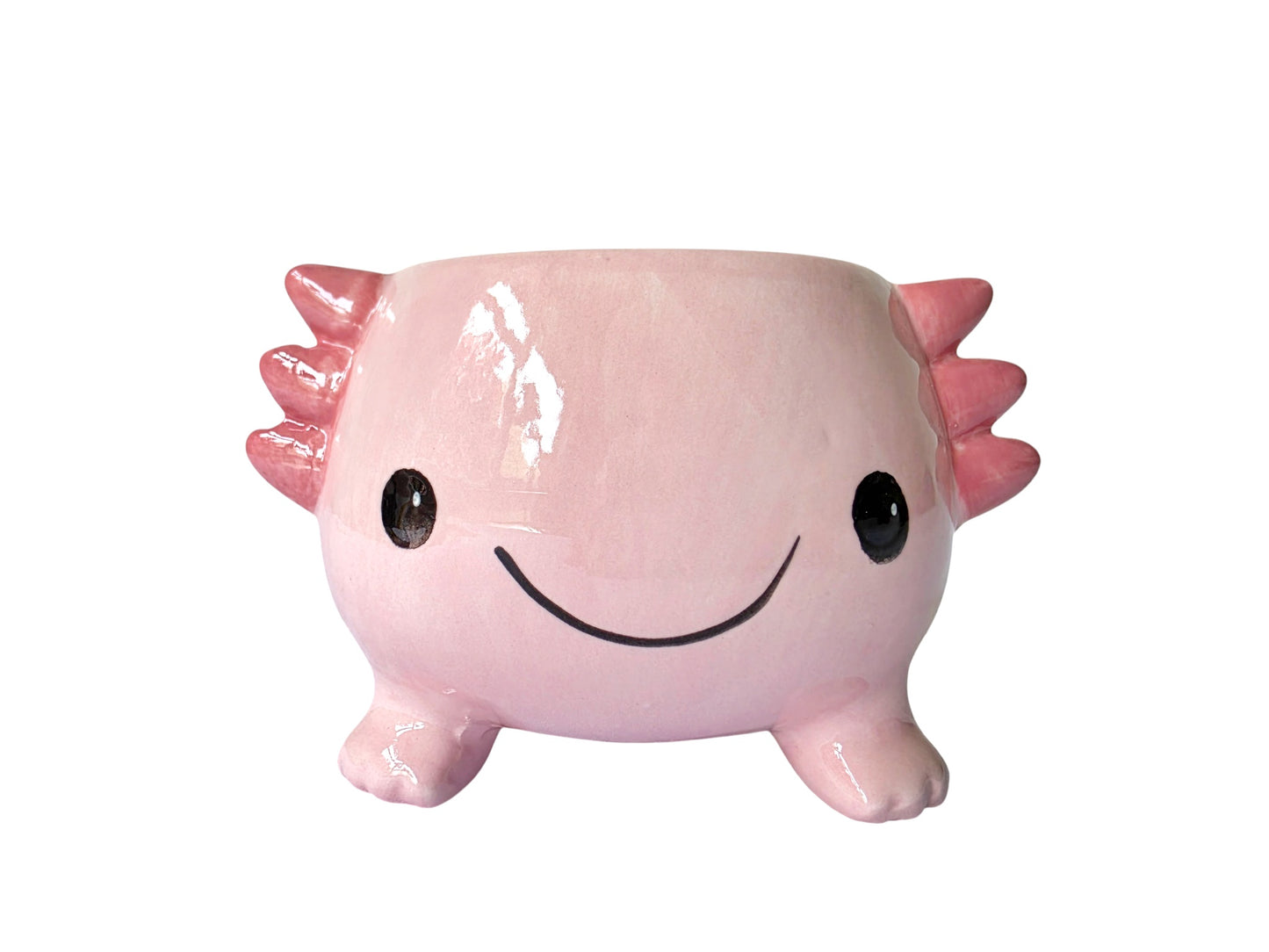 AXOLOTL PLANTER