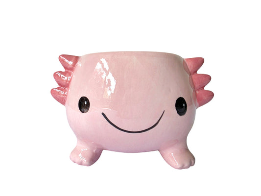 AXOLOTL PLANTER