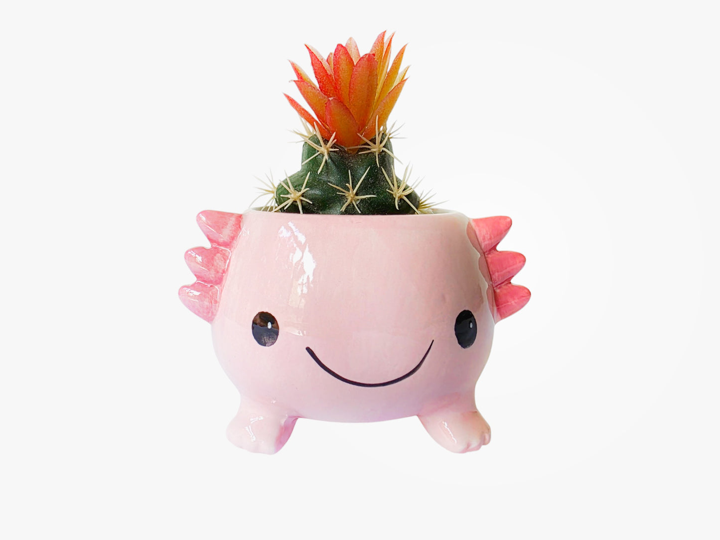 AXOLOTL PLANTER